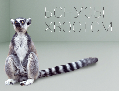 Кэшбэк картами за покупку торгового оборудования